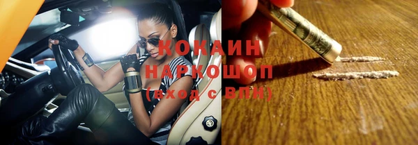 шишки Абаза