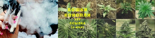 ГАЛЛЮЦИНОГЕННЫЕ ГРИБЫ Заволжье