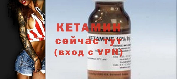 шишки Абаза
