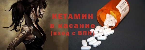 шишки Абаза