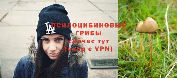 молекула духа Абдулино