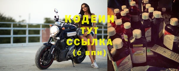 шишки Абаза
